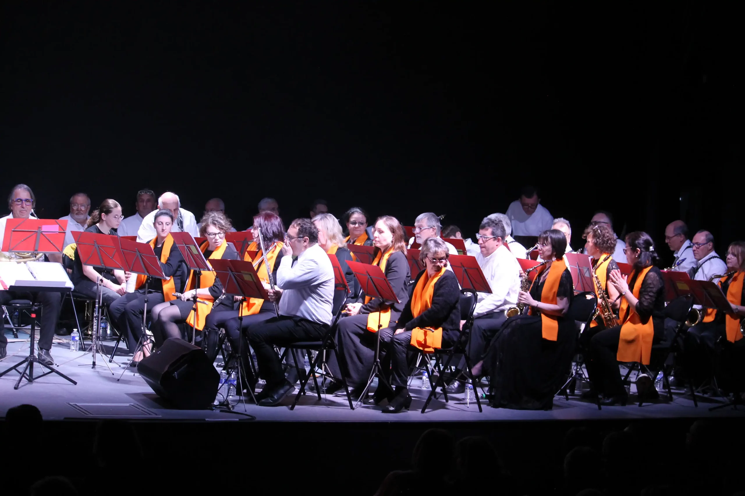 La lyre d’Alliez - Photo 2