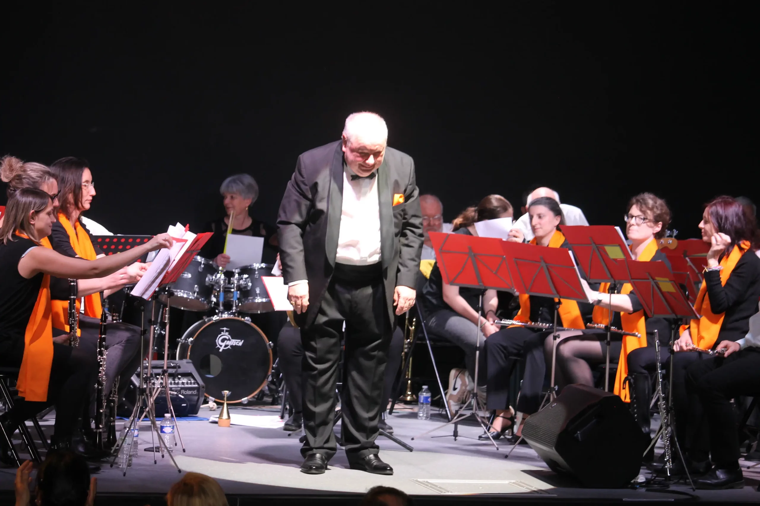 La lyre d’Alliez - Photo 1